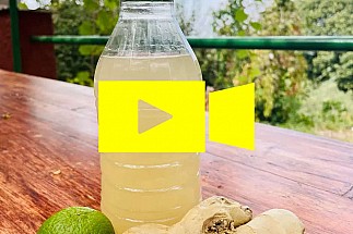 HOMEMADE GINGER BEER - THE VIDEO