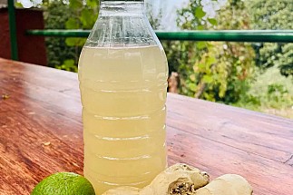 HOMEMADE GINGER BEER